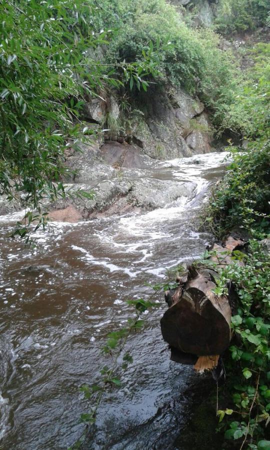 Vista Franca *