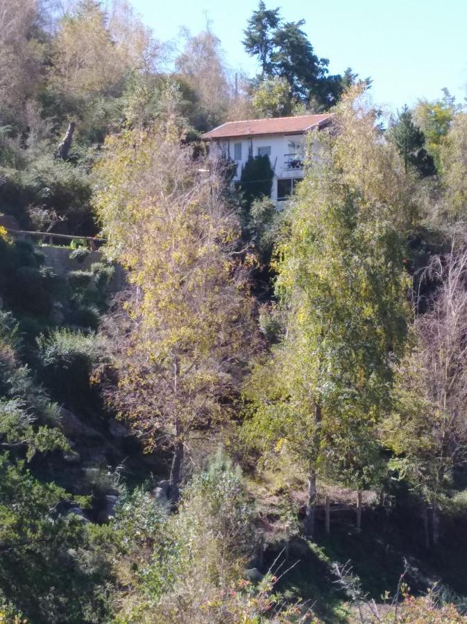 Apartamento Vista Franca *
